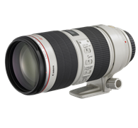 Canon RSD GH 33